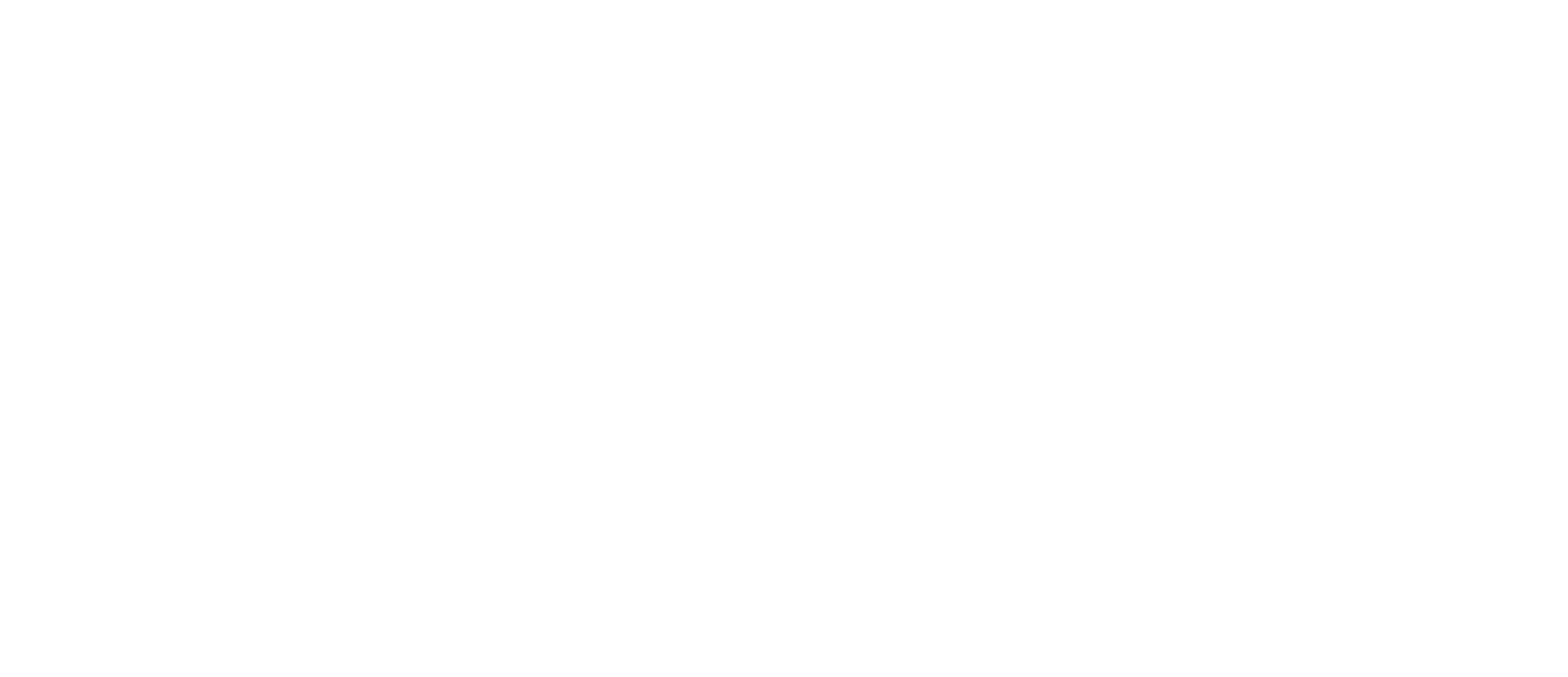 RISE Logo